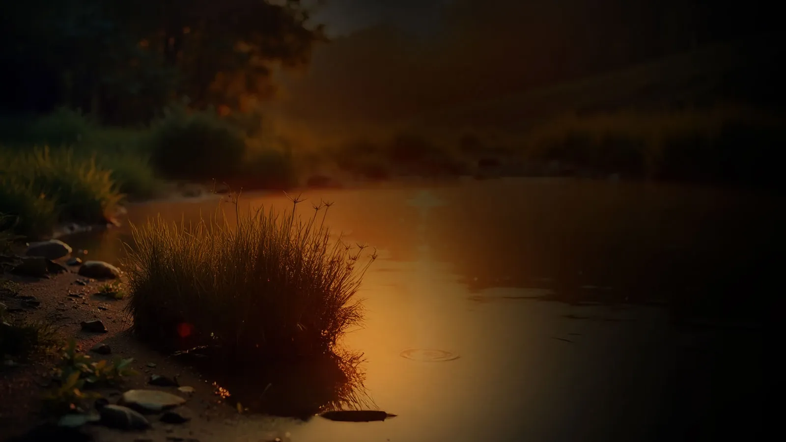 Orilla de un río al atardecer