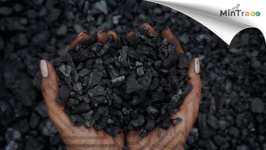 ase transición ANM trazabilidad en Colombia explicada de forma visual